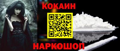 шишки Заволжье
