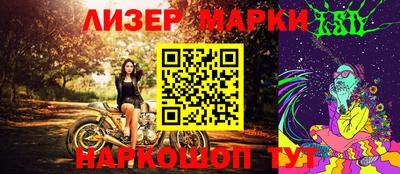 шишки Заволжье