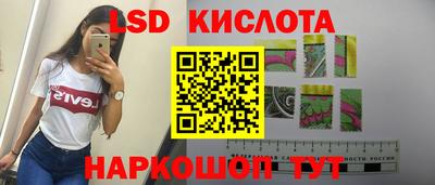 шишки Заволжье