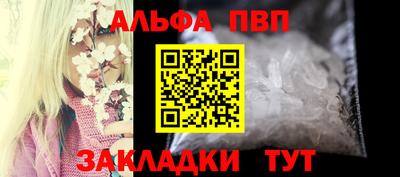 шишки Заволжье