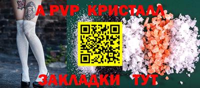 шишки Заволжье